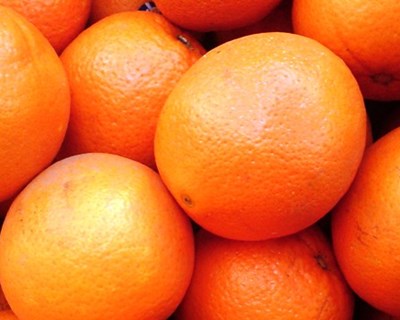 Vidigueira: citrinos e produtos derivados dão mote a workshop