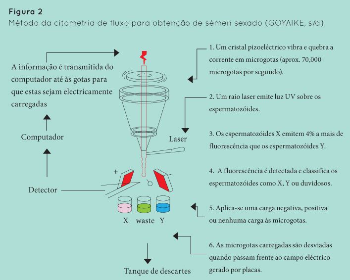 p28 fig2