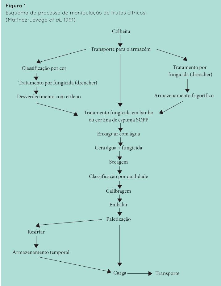 p46 fig2