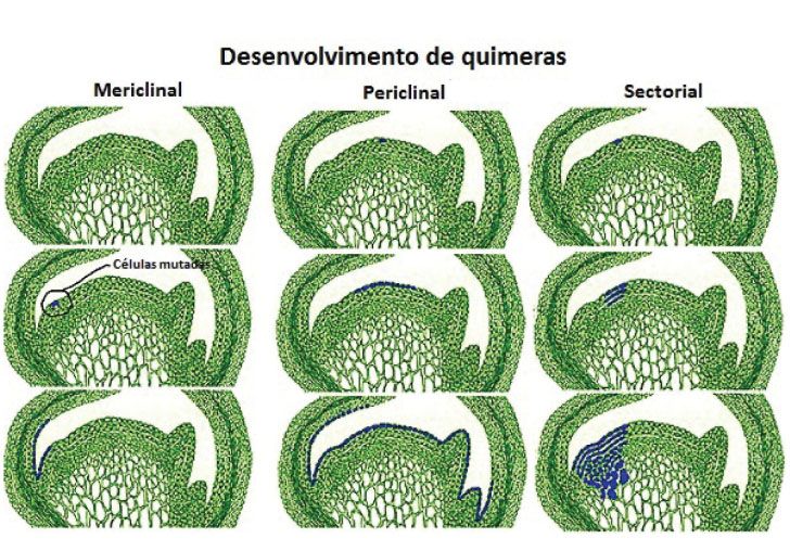 p54 fig3