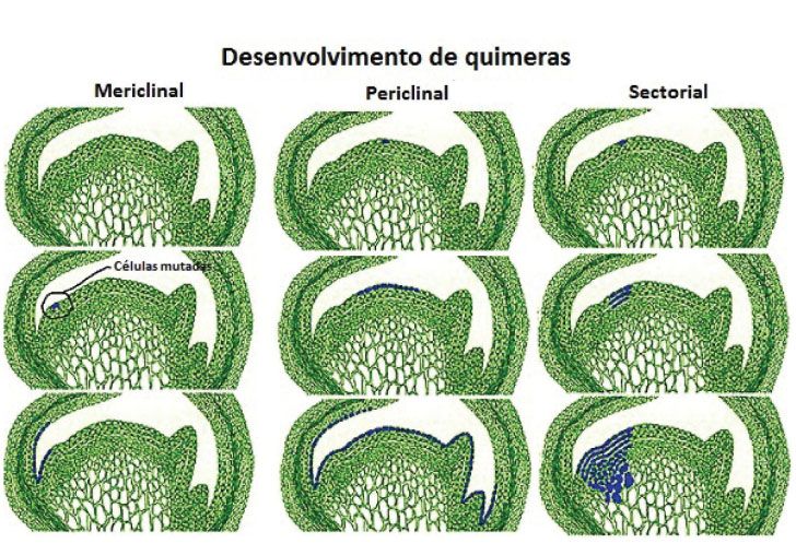 p54 fig3