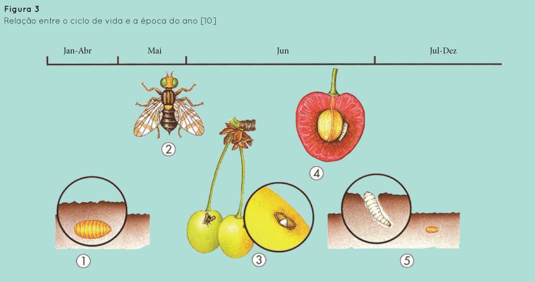 p84 fig3