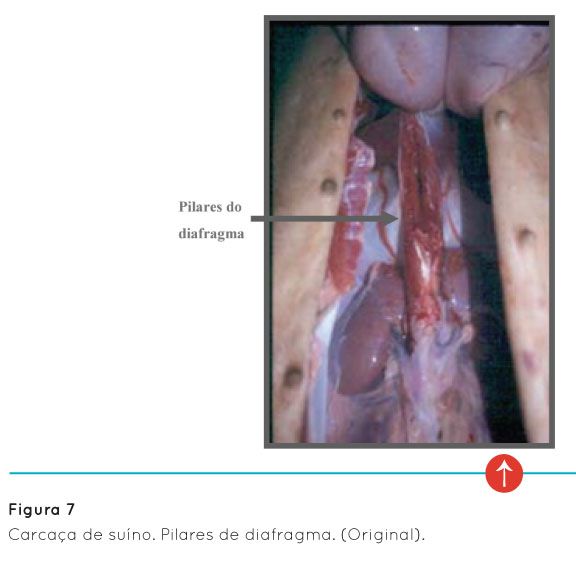 p14 fig7