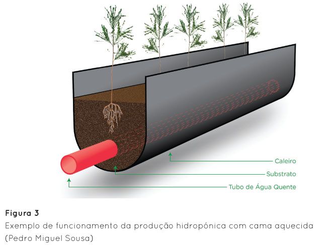 p31 fig3