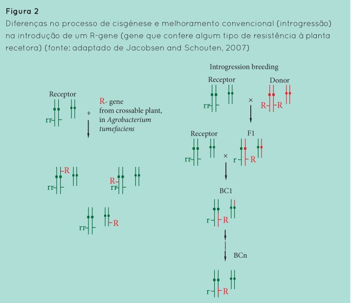 p71 fig2