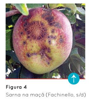 p71 fig4