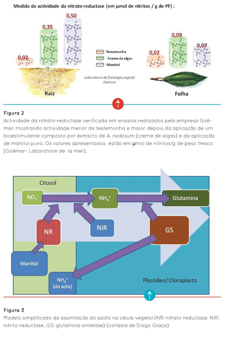 p36 fig2 3