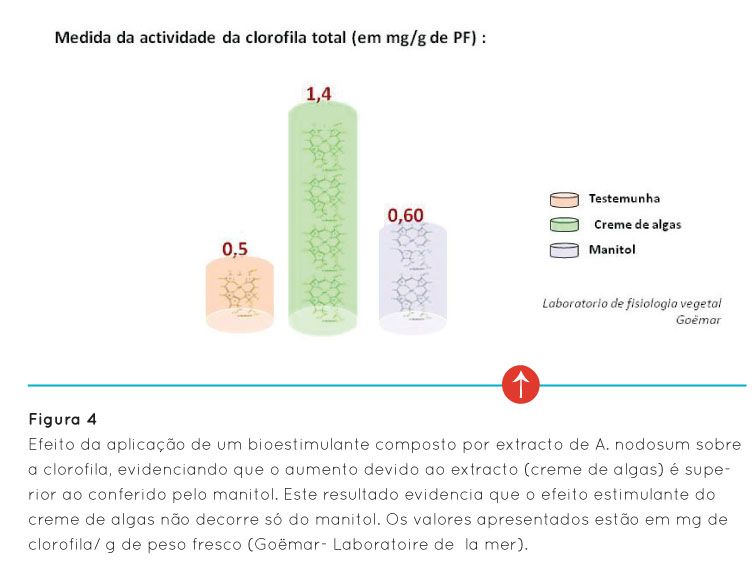 p36 fig4