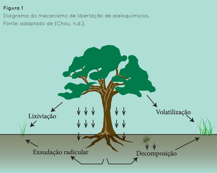 p47 fig1