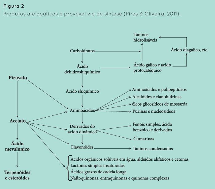 p47 fig2