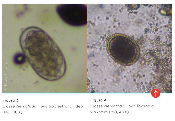 p16 fig3 4