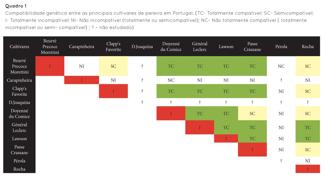 p33 fig3