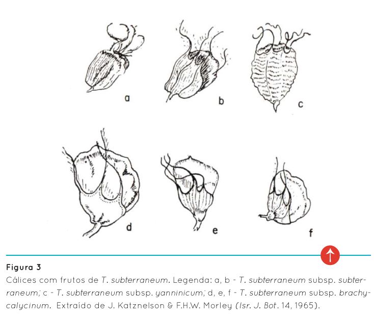 p58 fig3