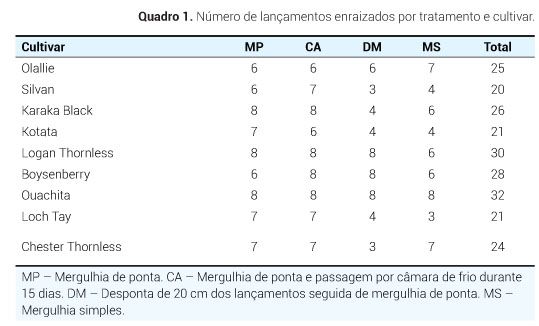 p5 qua1
