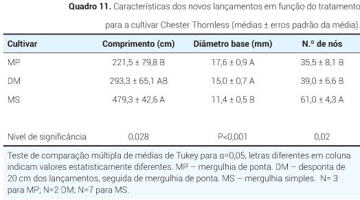 p5 qua11