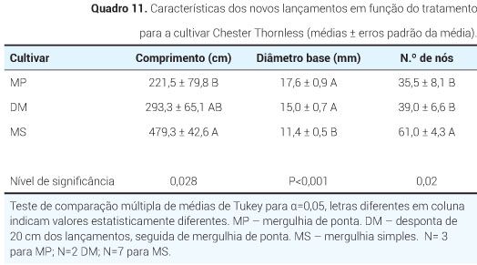 p5 qua11