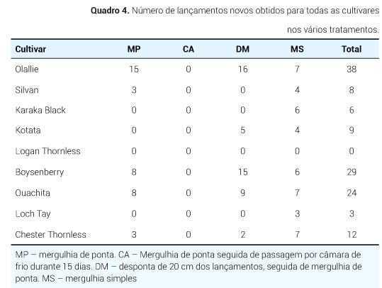 p5 qua4