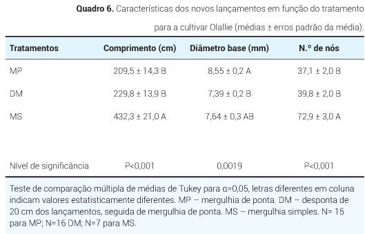 p5 qua6