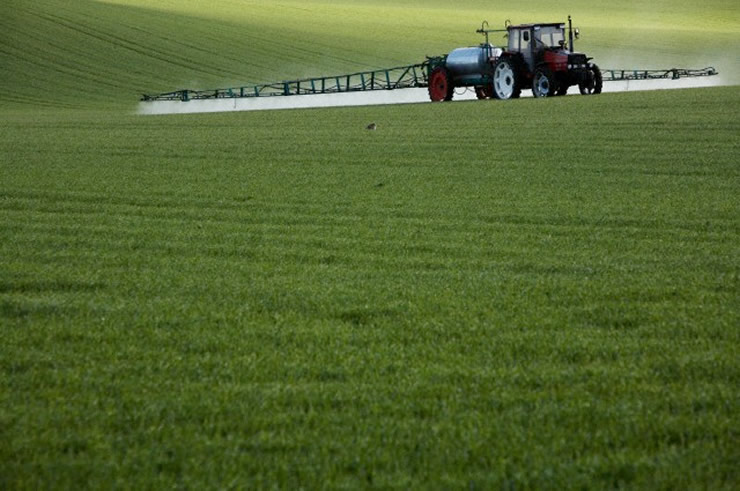 Degradação biológica de pesticidas: uma solução para o problema da contaminação ambiental Degradação biológica de pesticidas: uma solução para o problema da contaminação ambiental
