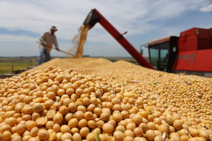 China cancela compra de 285 mil toneladas de soja dos EUA
