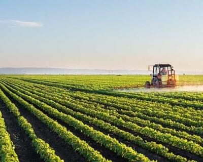 1ª Cimeira da Agricultura e Biodiversidade realiza-se em Santarém