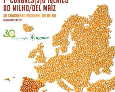 1º Congresso Ibérico do Milho reúne 600 agricultores e técnicos agrícolas em Lisboa