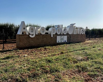 1º edição da pós-graduação em Gestão Sustentável do Setor Olivícola terminou com viagem técnica a Marrocos