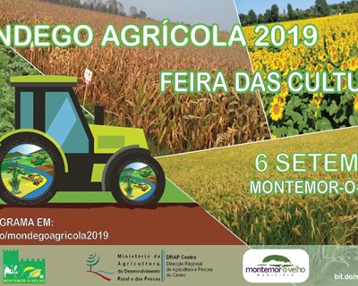 2ª Edição do Mondego Agrícola 2019 - Feira das Culturas