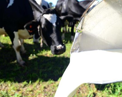 250 produtores de leite nacionais já abandonaram a atividade em 2015