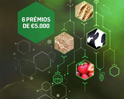4.ª edição do prémio “Empreendedorismo e Inovação” Crédito Agrícola