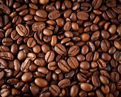 60% das espécies de café no mundo estão em risco de extinção