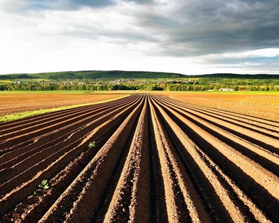 65% do território continental é ocupado por área florestal e agrícola