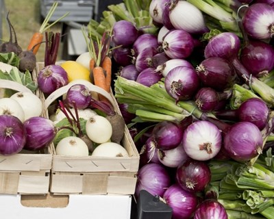 900 mil euros para tornar mercados de frescos mais sustentáveis