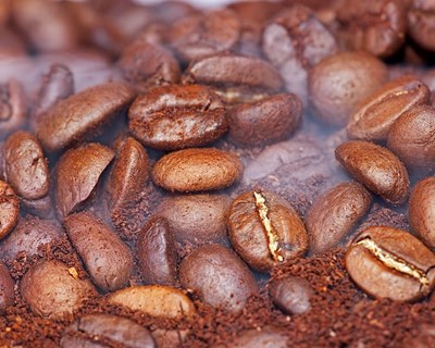 A cultura do café no mundo e Açores