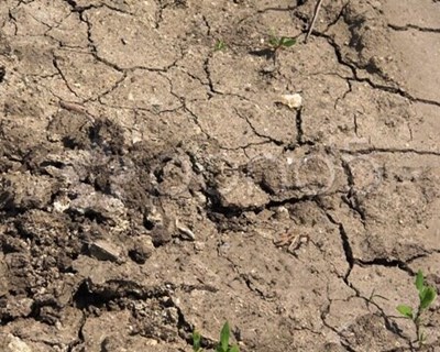 FAABA apresenta conjunto de reivindicações relacionadas com a seca e o PEPAC