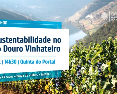 A sustentabilidade no Alto Douro Vinhateiro em debate a 26 de outubro