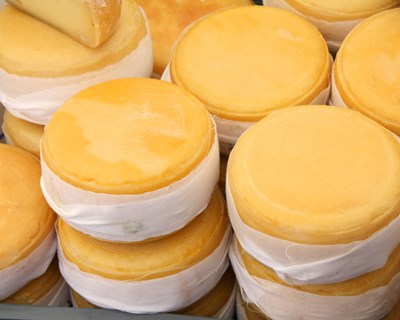 A valorização da fileira do queijo da região Centro