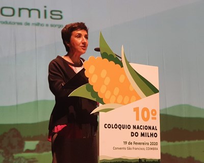 A valorização do interior e as megatendências alimentares no 10º Colóquio Nacional do Milho