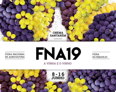 “A vinha e o vinho” é o tema central da FNA 2019