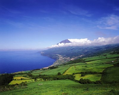 Açores: Governo regional apela a exportação de mais produções