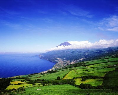 Açores investem €1,8 milhões na eletrificação de explorações agrícolas
