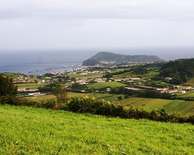 Açores: Governo lança concurso para candidaturas a apoios no setor agrícola