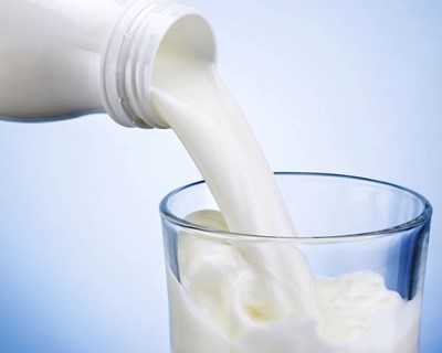 Açores: propostas para a regulação no setor do leite