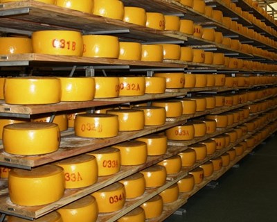 Açores vão ter concurso anual de queijos