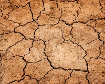 Agricultores ainda não receberam apoios para a seca do ano passado