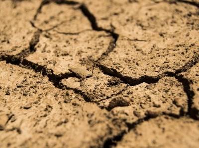Agricultores exigem medidas adequadas contra a seca prolongada