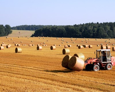 Agricultores isentos de IVA até 12.500 de euros