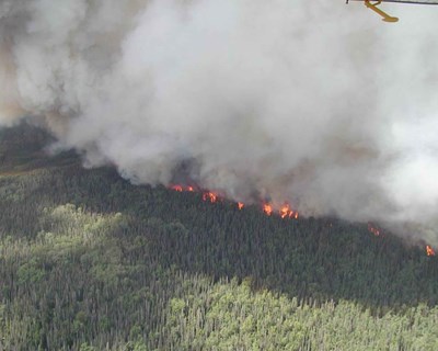 Agricultores já podem reportar os prejuízos no âmbito do incêndio que deflagrou nos concelhos de Monchique e Portimão