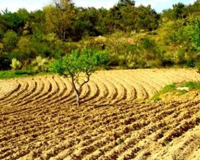 Agricultores já se podem candidatar a apoios agro-ambientais e às zonas desfavorecidas