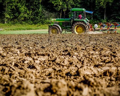 Agricultores portugueses regozijam-se com a reposição da medida Electricidade Verde